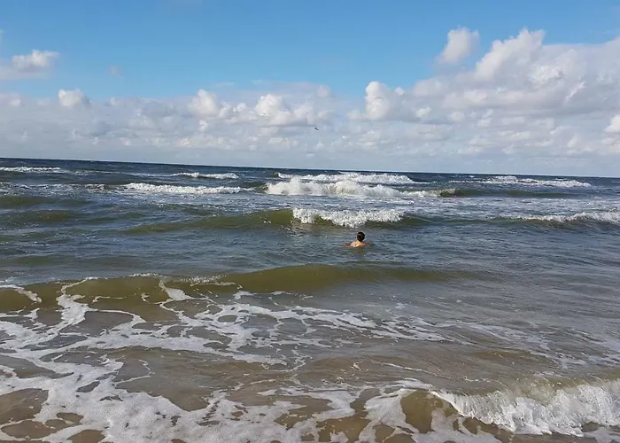 La Alexandre - Parter Władysławowo